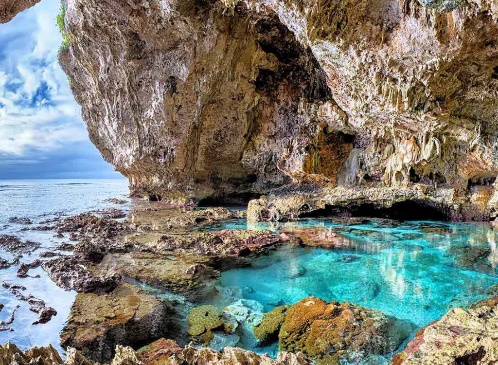 Vibrant tropical scene featuring lush greenery overlooking a clear blue ocean under a bright sky.