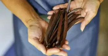 Man holding NIUE vanilla
