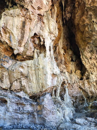 Photo from customer review