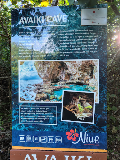 Photo from customer review