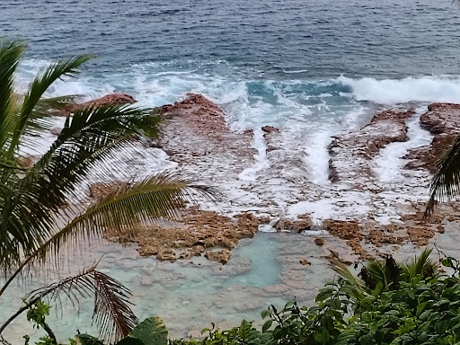 Photo from customer review