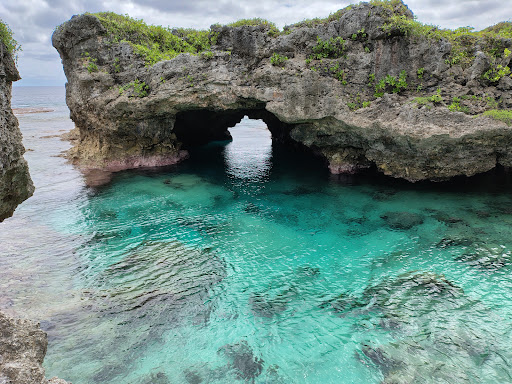 Photo from customer review