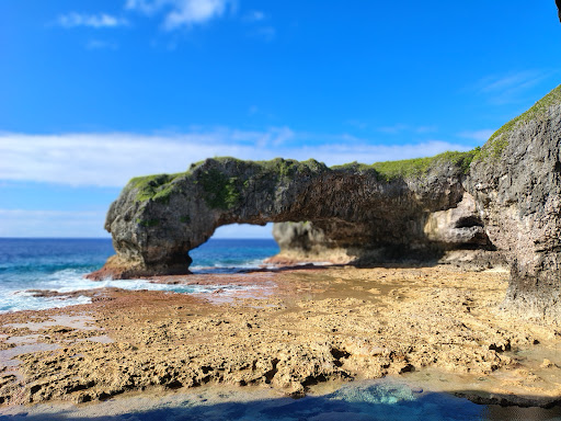 Photo from customer review