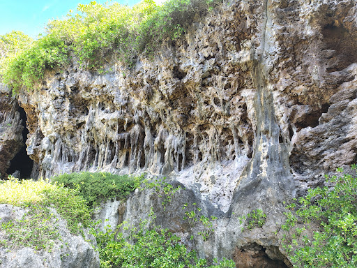 Photo from customer review