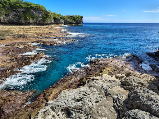 Photo from customer review