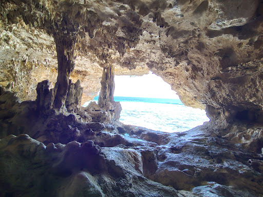 Photo from customer review