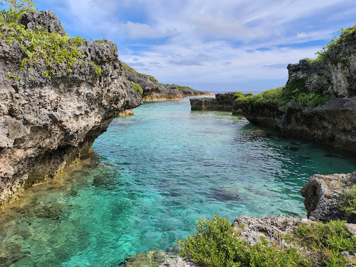 Photo from customer review