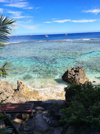 Photo from customer review