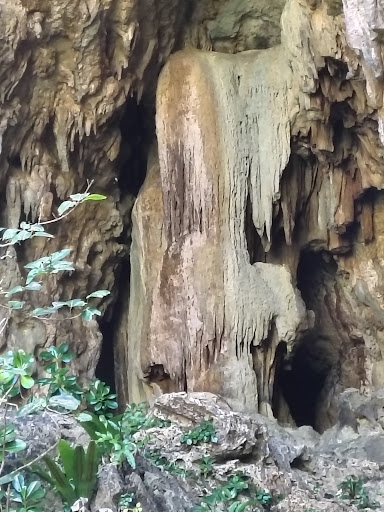 Photo from customer review