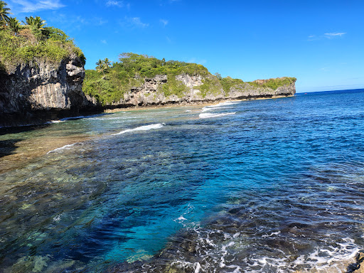 Photo from customer review