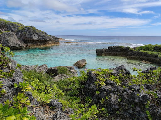 Photo from customer review