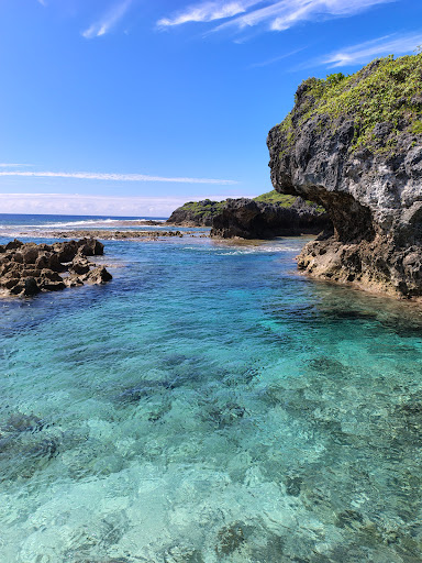 Photo from customer review