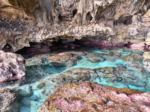 Photo from customer review