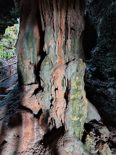 Photo from customer review